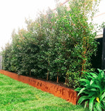 Corten Steel Planter