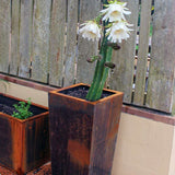 Corten Steel Planter