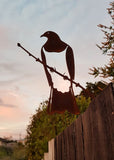 Kererū (Wood Pigeon) Corten Metal Bird