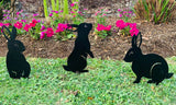 Bunny Garden Art - 3 Pack